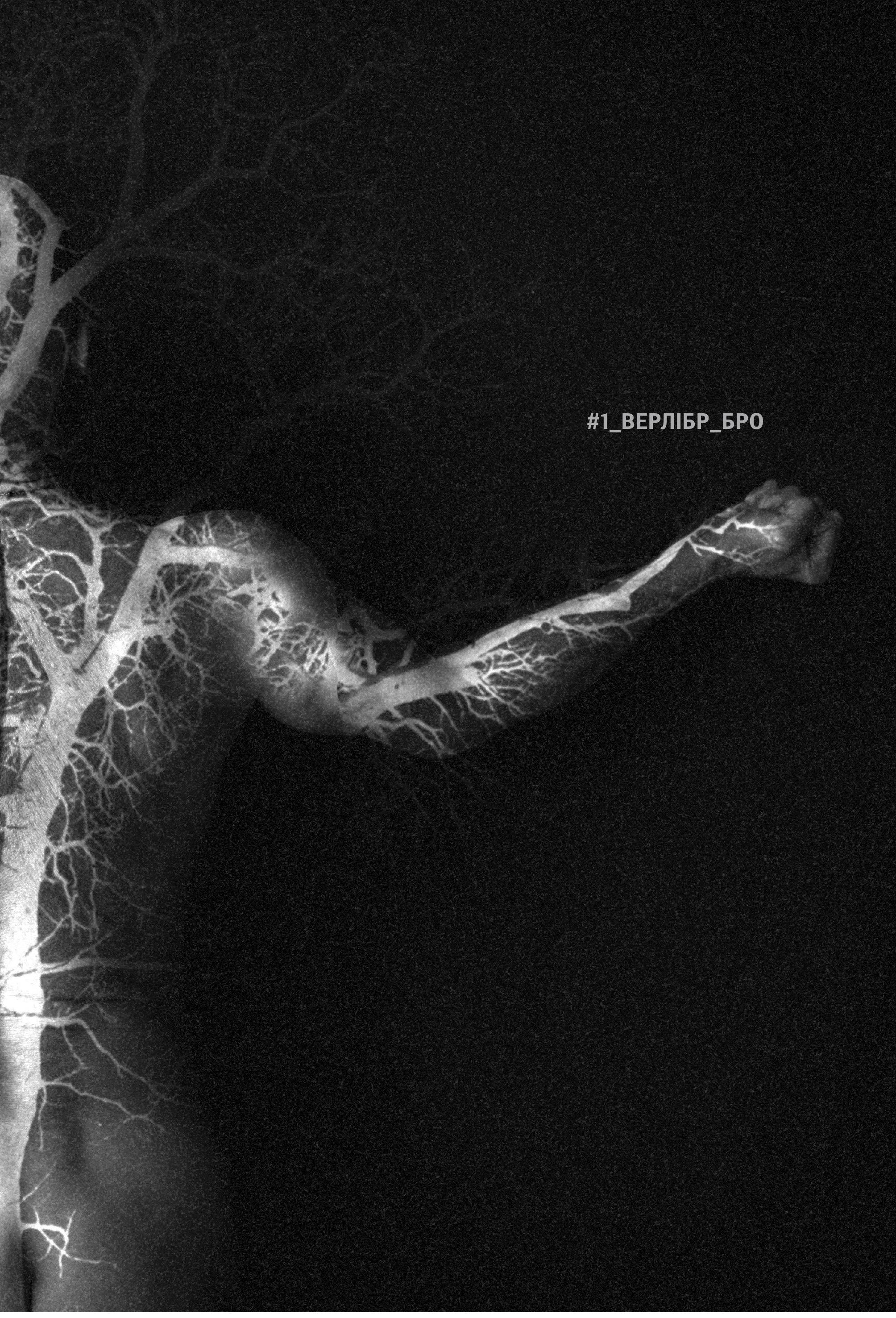 Books XXI - File