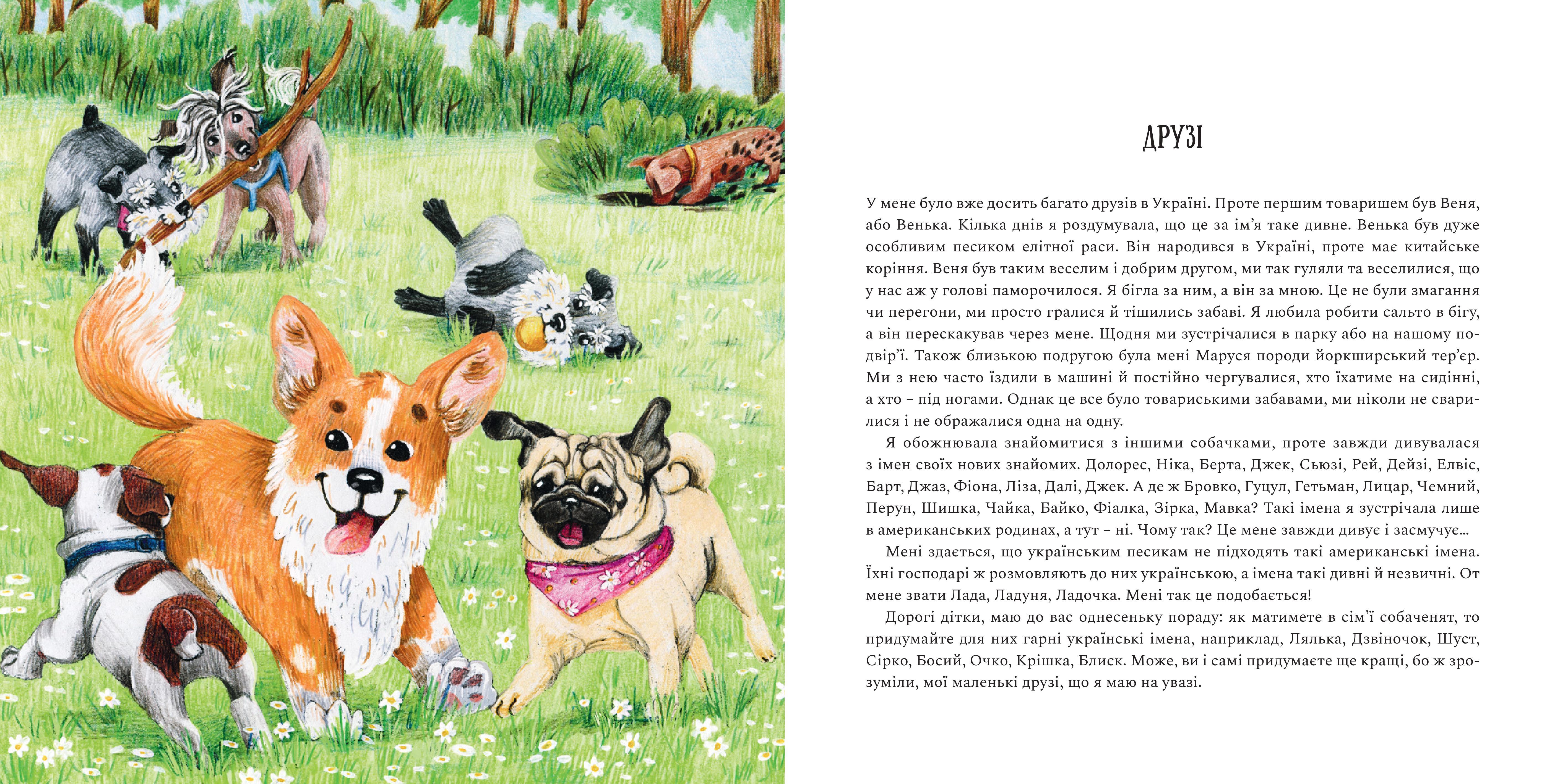 Books XXI - File
