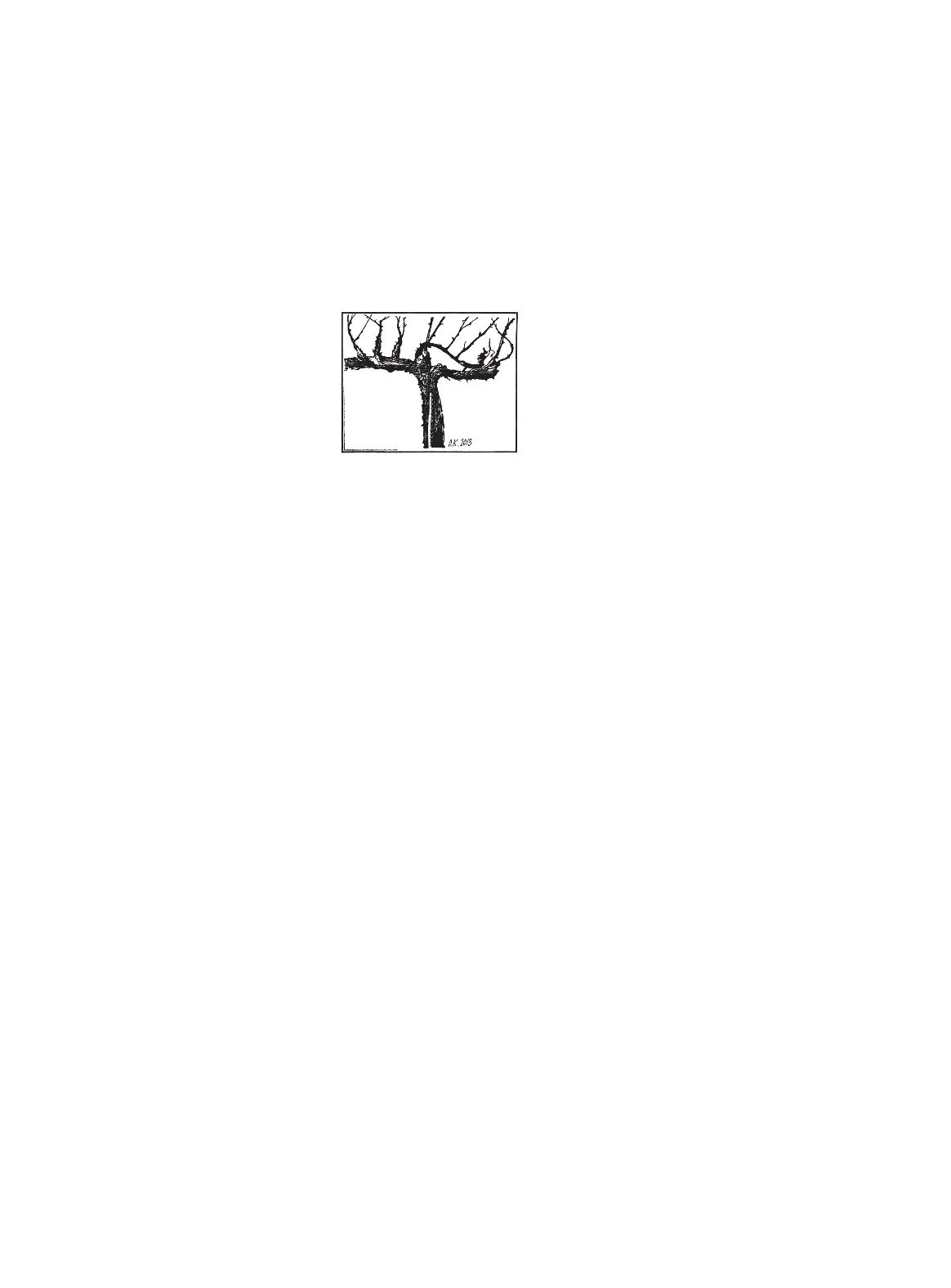 Books XXI - File