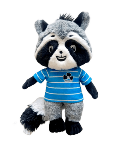 IMG: МОРСИК, ЄНОТ-БЕШКЕТНИК (мʼяка іграшка)